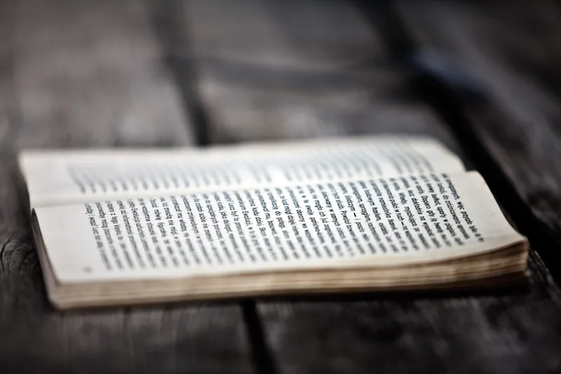 The Art of the Slender Volume: How a New Generation of Authors Is Turning Brevity Into a Business